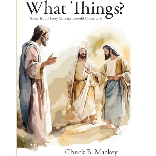 Cover of What Things?