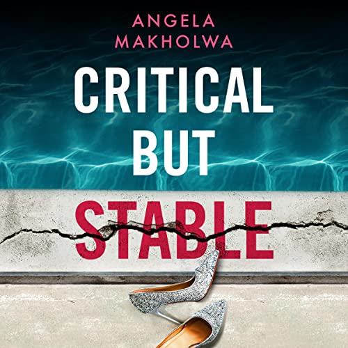 Cover of Critical but Stable