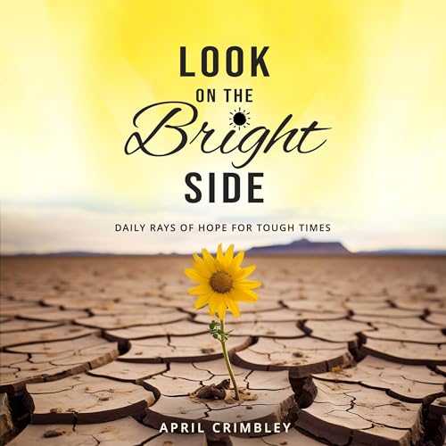 Cover of Look on the Bright Side