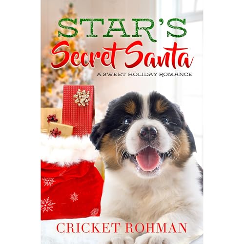 Cover of Star's Secret Santa