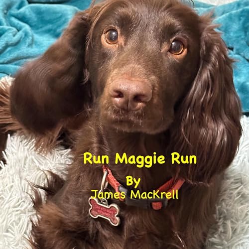 Cover of Run Maggie, Run