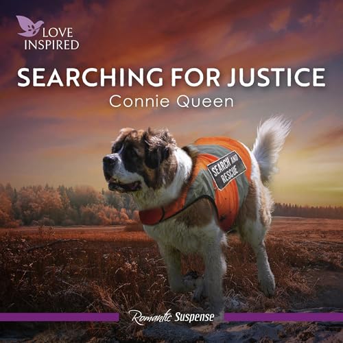 Cover of Searching For Justice