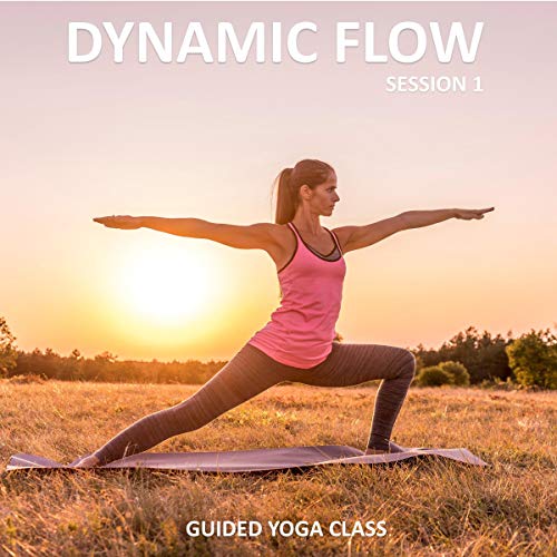 Cover of Dynamic Flow Session 1