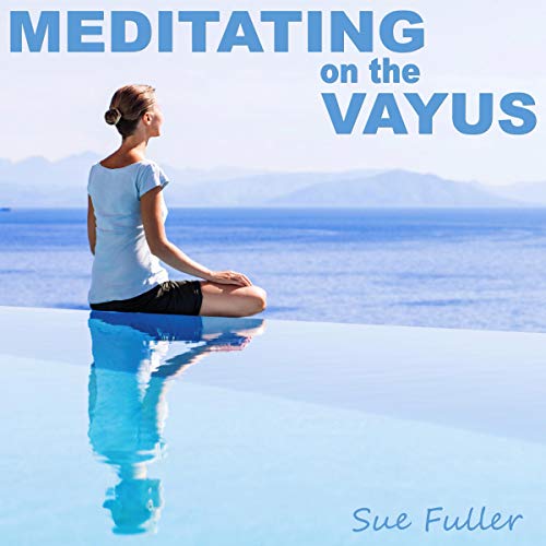 Cover of Meditating on the Vayus