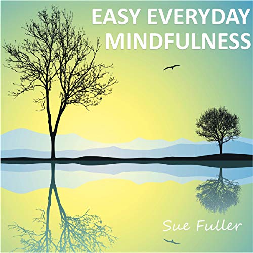 Cover of Easy Everyday Mindfulness