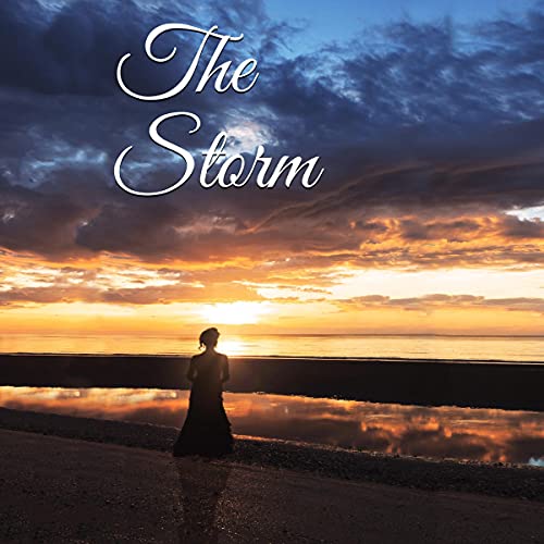Cover of The Storm