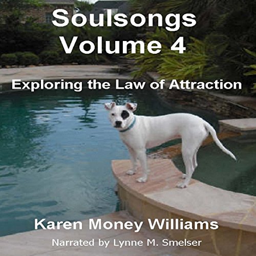 Cover of Exploring the Law of Attraction