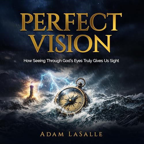 Cover of Perfect Vision