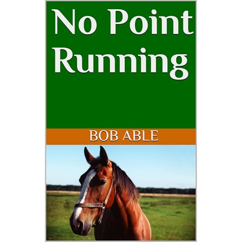 Cover of No Point Running