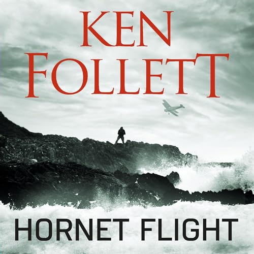 Cover of Hornet Flight