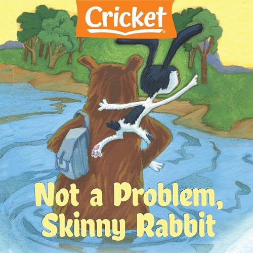 Cover of Not a Problem, Skinny Rabbit