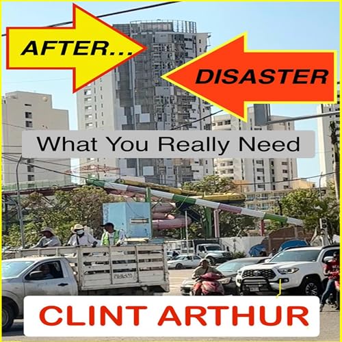 Cover of After Disaster