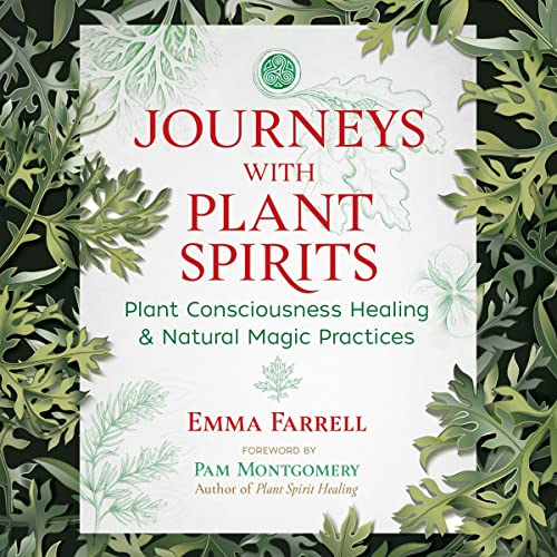 Cover of Journeys with Plant Spirits