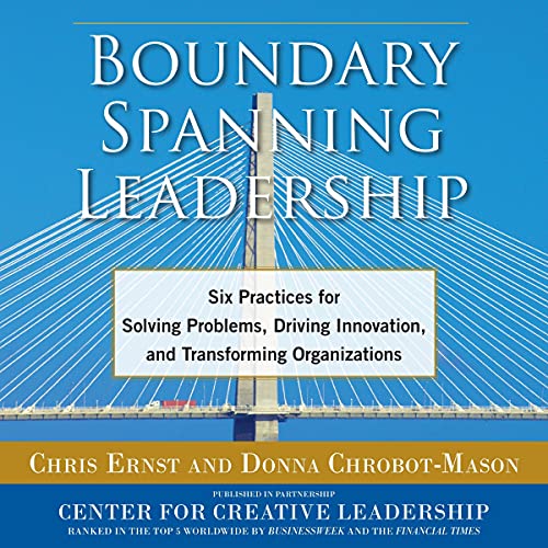 Cover of Boundary Spanning Leadership