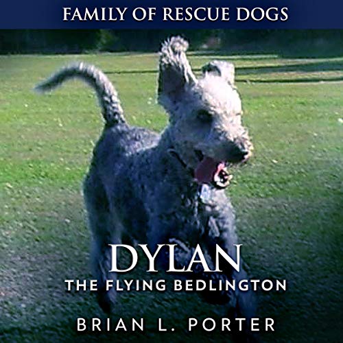 Cover of Dylan
