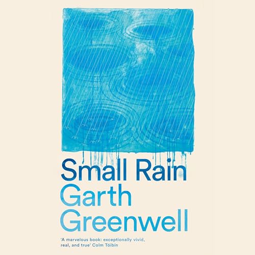 Cover of Small Rain