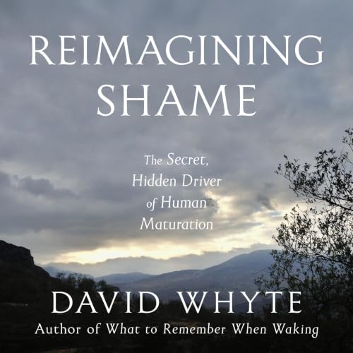 Cover of Reimagining Shame
