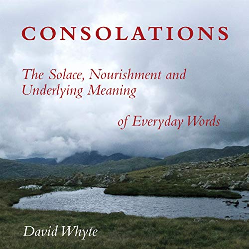 Cover of Consolations: The Solace, Nourishment and Underlying Meaning of Everyday Words