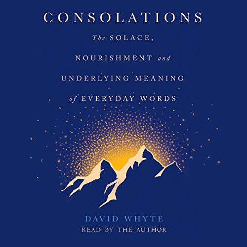 Cover of Consolations