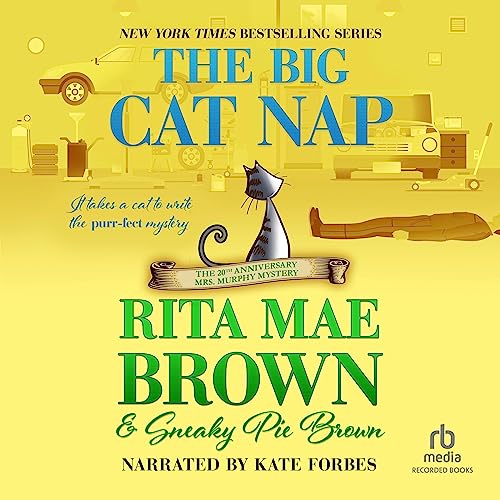 Cover of The Big Cat Nap