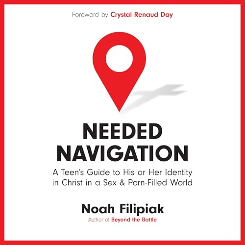 Cover of Needed Navigation