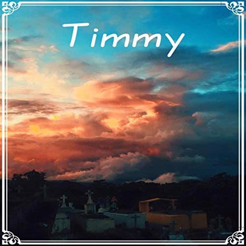 Cover of Timmy