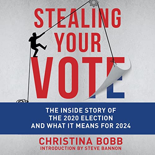 Cover of Stealing Your Vote