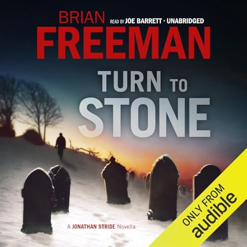 Cover of Turn to Stone