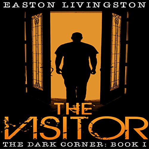 Cover of The Visitor