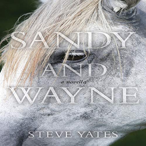 Cover of Sandy and Wayne