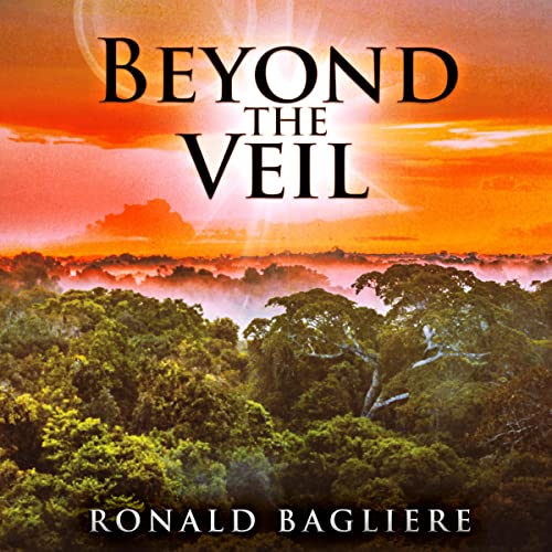 Cover of Beyond the Veil