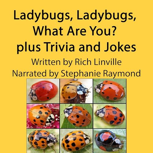 Cover of Ladybugs, Ladybugs, What Are You - Plus Trivia and Jokes