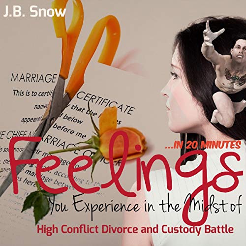 Cover of Feelings You Experience in the Midst of High Conflict Divorce and Custody Battle - in 20 Minutes