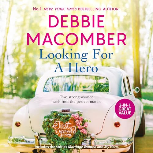 Cover of Looking For A Hero