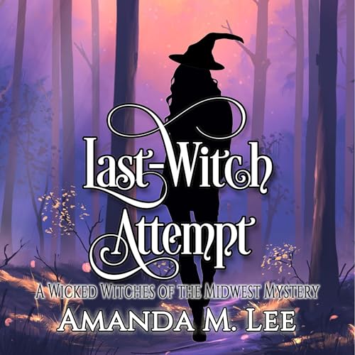 Cover of Last Witch Attempt