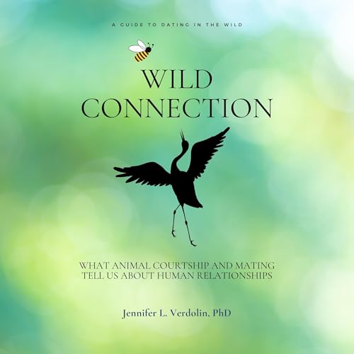 Cover of Wild Connection