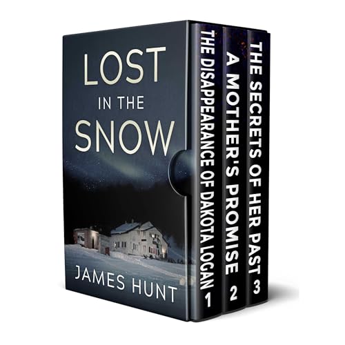 Cover of Lost in the Snow: A Small Town Riveting Kidnapping Mystery
