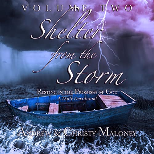 Cover of Shelter from the Storm