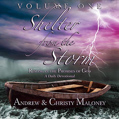 Cover of Shelter from the Storm