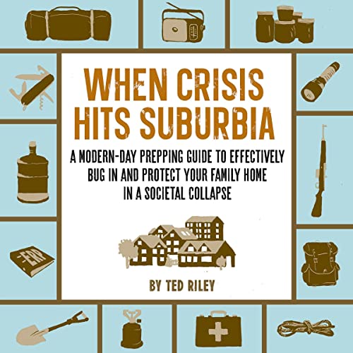 Cover of When Crisis Hits Suburbia