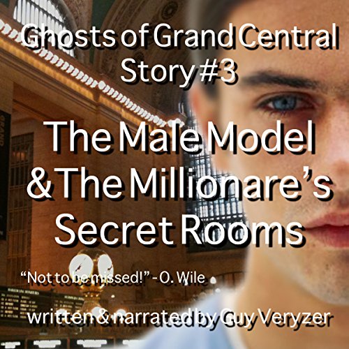 Cover of The Male Model & The Millionaire's Secret Rooms
