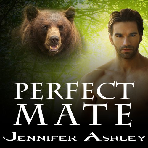 Cover of Perfect Mate