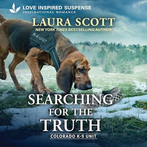 Cover of Searching For The Truth