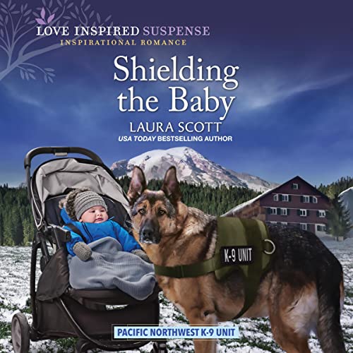 Cover of Shielding the Baby