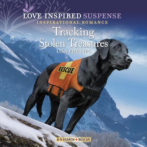 Cover of Tracking Stolen Treasures