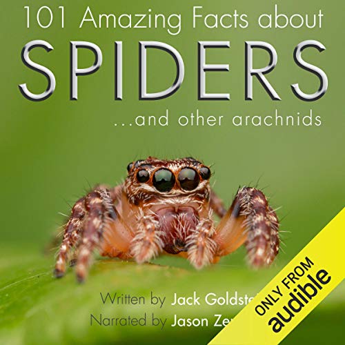 Cover of 101 Amazing Facts About Spiders