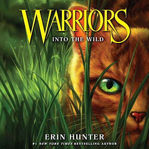 Cover of Into the Wild