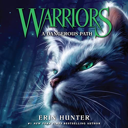 Cover of A Dangerous Path