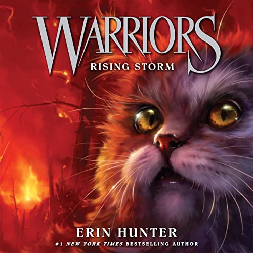Cover of Rising Storm