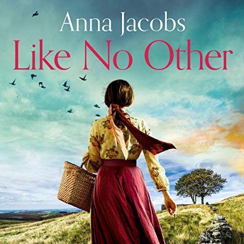 Cover of Like No Other